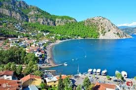  Turunç